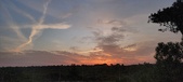 Enlarge photo 563