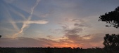 Enlarge photo 564
