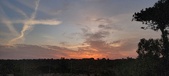 Enlarge photo 565