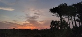 Enlarge photo 566