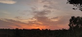 Enlarge photo 567