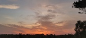 Enlarge photo 568