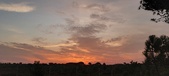 Enlarge photo 569