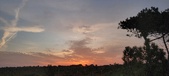 Enlarge photo 573
