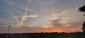 Enlarge photo 574