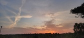 Enlarge photo 575