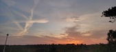 Enlarge photo 577