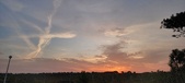 Enlarge photo 578
