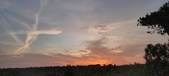 Enlarge photo 579