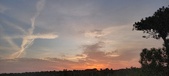 Enlarge photo 580