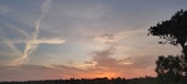 Enlarge photo 581