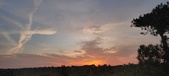 Enlarge photo 582
