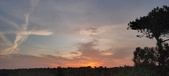 Enlarge photo 583
