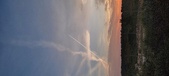 Enlarge photo 591