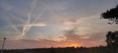 Enlarge photo 592