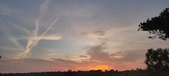 Enlarge photo 593