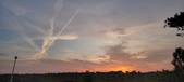 Enlarge photo 594