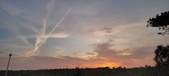 Enlarge photo 595