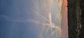 Enlarge photo 597