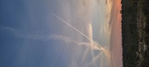 Enlarge photo 599