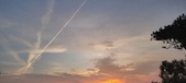 Enlarge photo 601