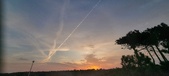 Enlarge photo 609