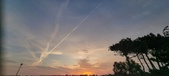 Enlarge photo 610