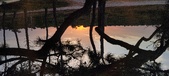 Enlarge photo 613