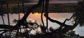 Enlarge photo 614