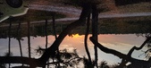 Enlarge photo 616