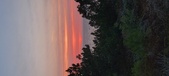 Enlarge photo 621