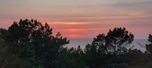 Enlarge photo 622