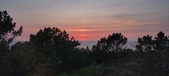 Enlarge photo 623