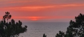 Enlarge photo 625