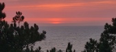 Enlarge photo 624