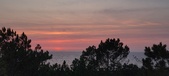 Enlarge photo 629