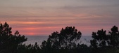 Enlarge photo 630