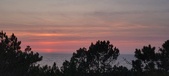 Enlarge photo 631