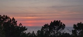 Enlarge photo 634