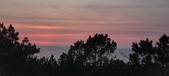 Enlarge photo 635
