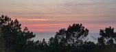 Enlarge photo 636