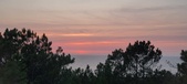 Enlarge photo 637