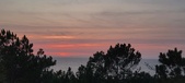 Enlarge photo 638