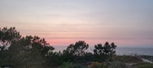 Enlarge photo 639