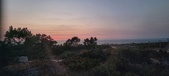 Enlarge photo 642