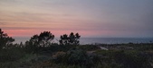 Enlarge photo 643