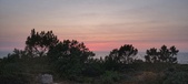 Enlarge photo 644