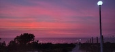 Enlarge photo 645