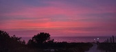 Enlarge photo 646