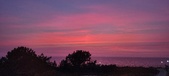 Enlarge photo 647